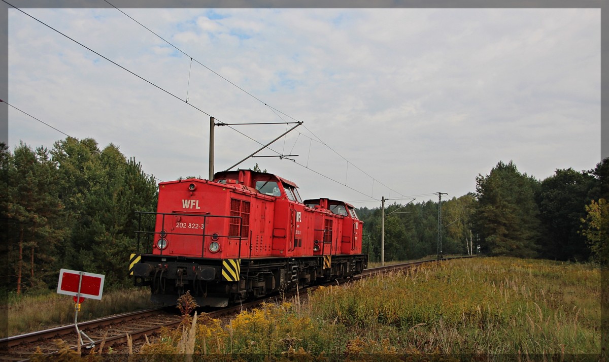 202 822 und 202 453 der WFL abgestellt in Neustrelitz am 04.10.2015