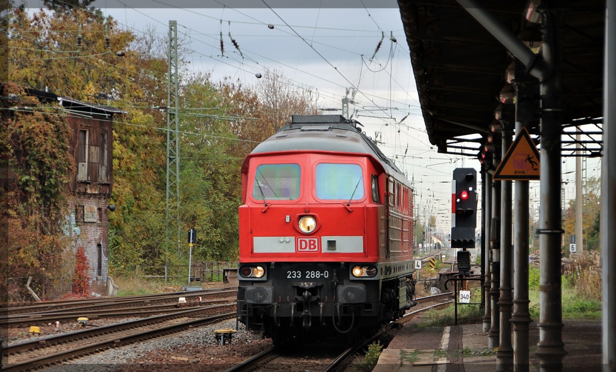 233 288 bei ener Rangierfahrt in Gaschwitz am 21.10.2013