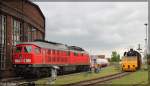 233 040 bei Tag der offenen Tür in Pasewalk am Lokschuppen Pomenaria am 6.5.2012.