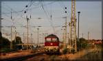 231 012 der WFL abgestellt in Neubrandenburg am 06.07.2015