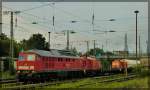 232 568 in Neubrandenburg am 15.06.2011 mit 2 BR 298