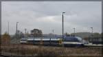 VT 0010 der Ostseelandverkehr GmbH im Dienste der Märkischen Regiobahn am 19.11.2011 in Rathenow.
